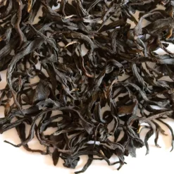 TeaSource Black Tea<Apollo | Black Tea