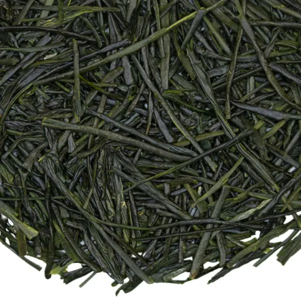 TeaSource Green Tea<Aurora Asanoka | Green Tea
