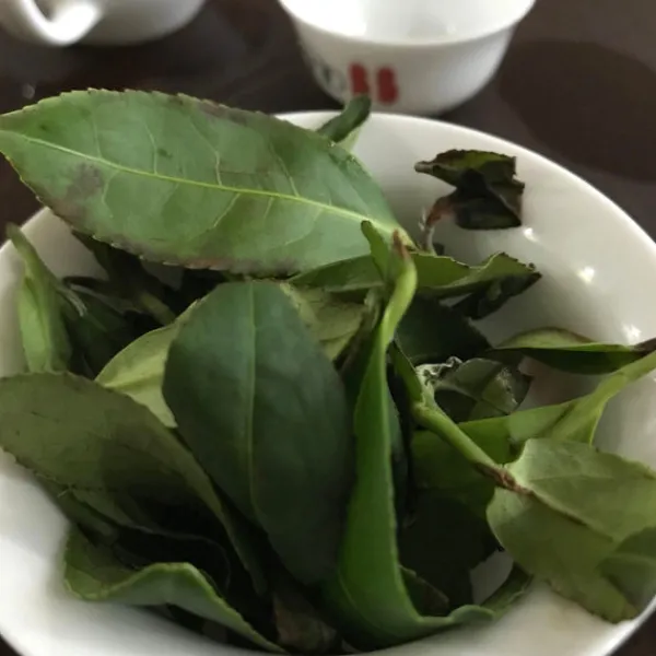 TeaSource Oolong Tea<Book of Spells Tieguanyin | Oolong Tea