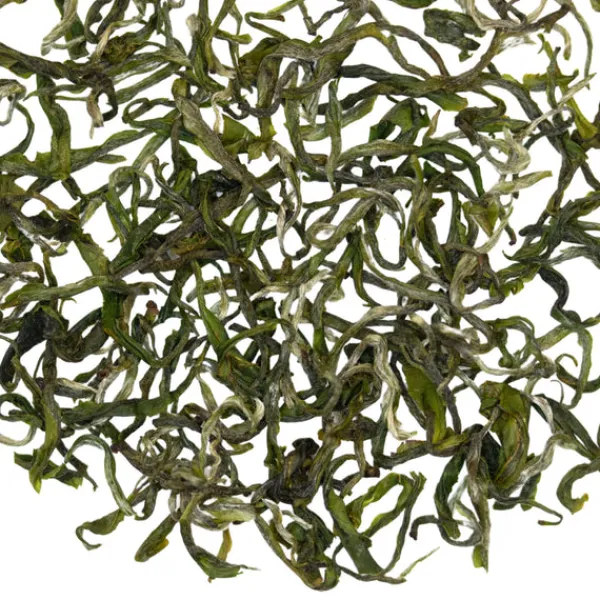 TeaSource Green Tea<Butterfly | Green Tea