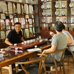 TeaSource Puer Tea<Carnival | Ripe (Shu) Puer Tea Cake