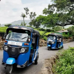 TeaSource Black Tea<Ceylon Tuk-Tuk | Black Tea