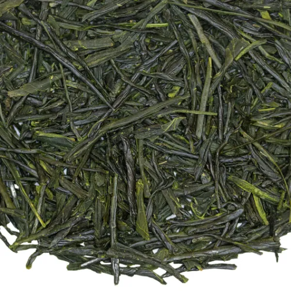 TeaSource Green Tea<Clearwater Sencha | Green Tea