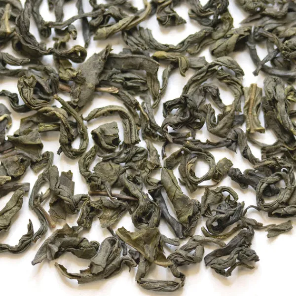 TeaSource Green Tea<Clouds & Mist Green Tea