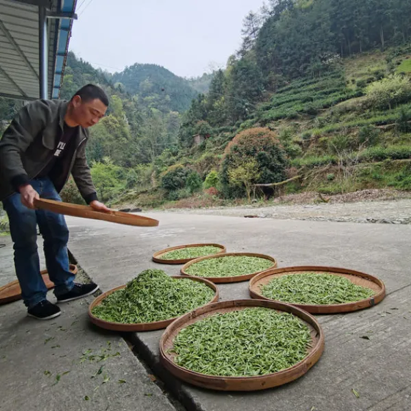 TeaSource Dark Tea<Dark Matter | Dark Tea