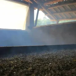 TeaSource Dark Tea<Dark Matter | Dark Tea