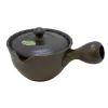 TeaSource Teapots<Earthenware Tokoname Teapot (Kyūsu)