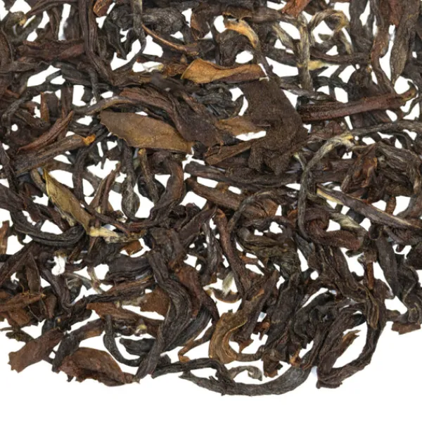 TeaSource Black Tea<Echo Parakeet Darjeeling 2nd Flush | Black Tea