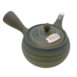 TeaSource Teapots<Echo Tokoname Teapot (Kyūsu)