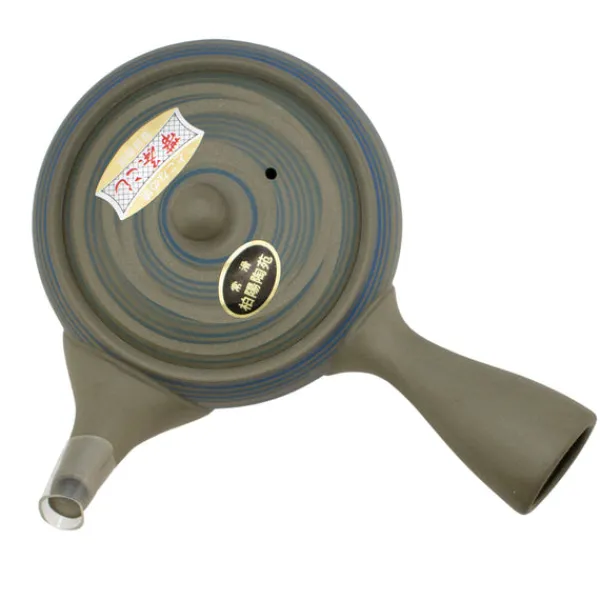 TeaSource Teapots<Echo Tokoname Teapot (Kyūsu)