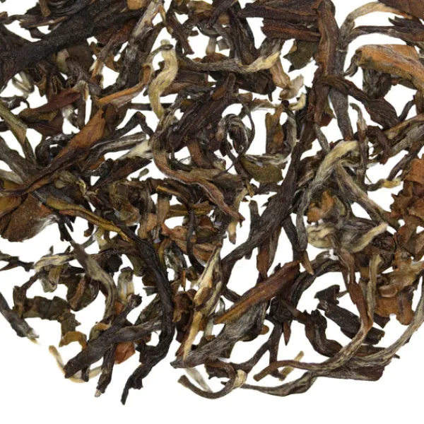 TeaSource Black Tea<Eurasian Hobby Darjeeling 2nd Flush | Black Tea