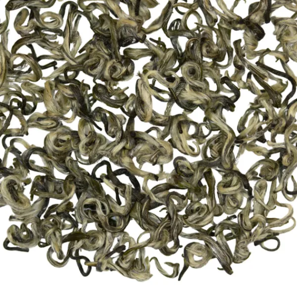 TeaSource Green Tea<Fibonacci Spiral | Green Tea
