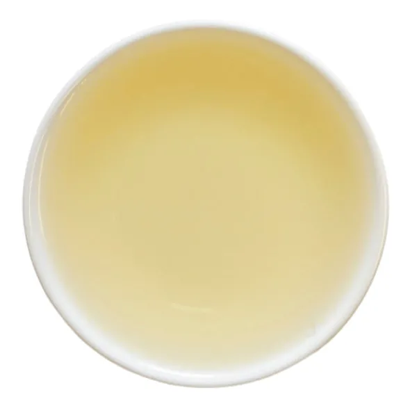 TeaSource Green Tea<Fibonacci Spiral | Green Tea