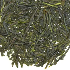 TeaSource Green Tea<Floating Lotus Sencha | Green Tea