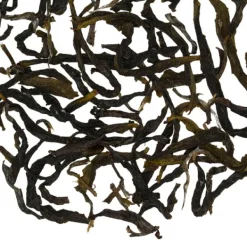 TeaSource Oolong Tea<Floodplain Dan Cong | Oolong Tea