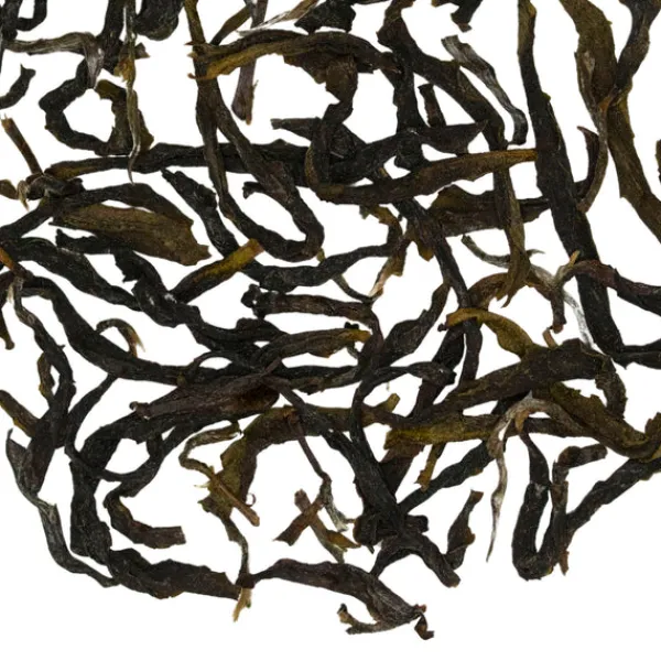 TeaSource Oolong Tea<Floodplain Dan Cong | Oolong Tea