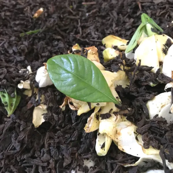 TeaSource Puer Tea<Gardenia Puer | Ripe (Shu) Puer Tea