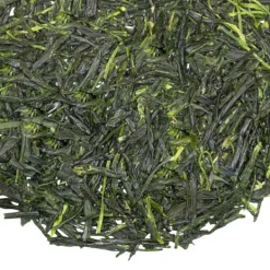 TeaSource Green Tea<Gazebo Gyokuro | Green Tea