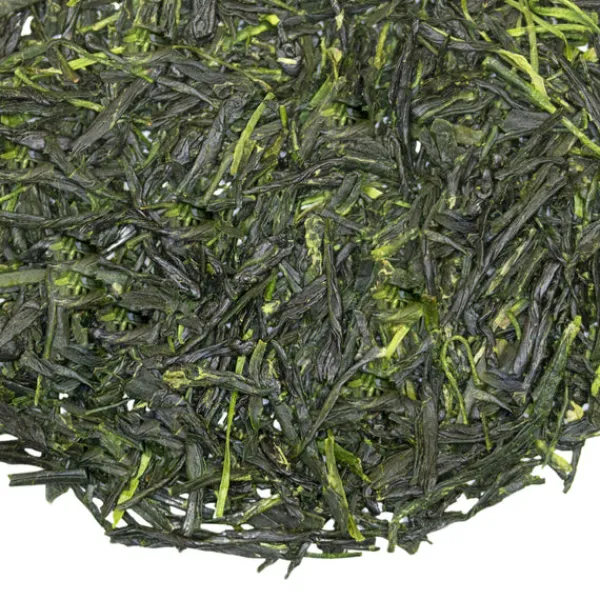 TeaSource Green Tea<Gazebo Gyokuro | Green Tea