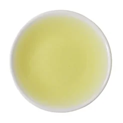 TeaSource Green Tea<Gazebo Gyokuro | Green Tea