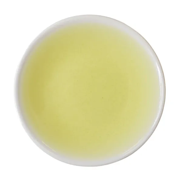 TeaSource Green Tea<Gazebo Gyokuro | Green Tea