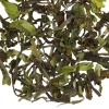 TeaSource Black Tea<Green Heron Darjeeling 1st Flush | Black Tea