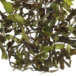 TeaSource Black Tea<Green Heron Darjeeling 1st Flush | Black Tea
