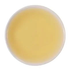 TeaSource Black Tea<Green Heron Darjeeling 1st Flush | Black Tea