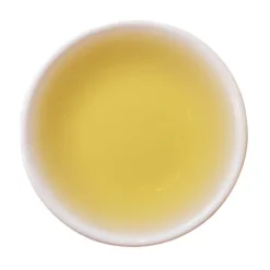 TeaSource Green Tea<Green Mango | Green Tea
