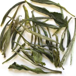 TeaSource Green Tea<Green Orchid | Green Tea