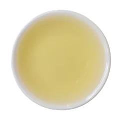 TeaSource Green Tea<Green Pomegranate | Green Tea