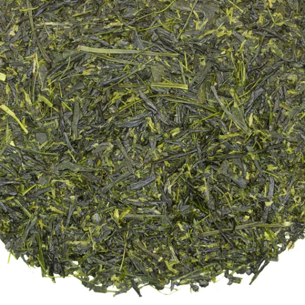 TeaSource Green Tea<Hot Springs Sencha | Green Tea