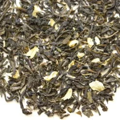 TeaSource Green Tea<Jasmine | Green Tea