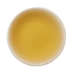 TeaSource Green Tea<Jasmine | Green Tea