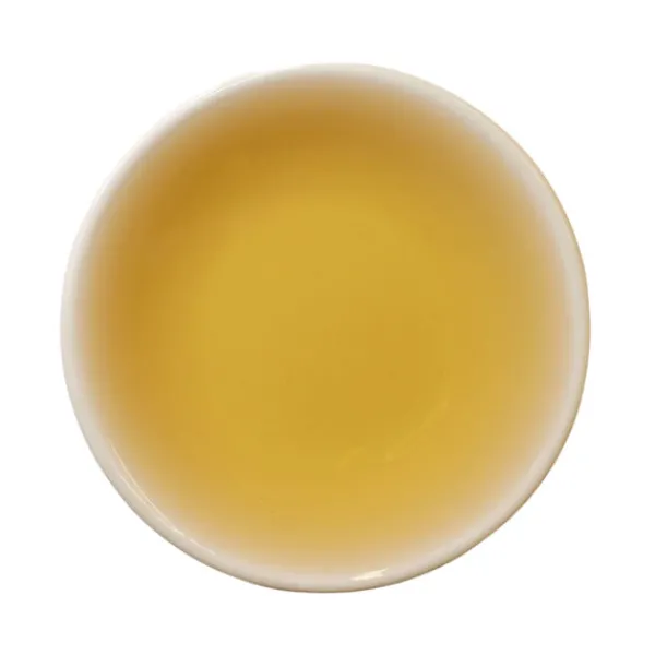 TeaSource Green Tea<Jasmine | Green Tea