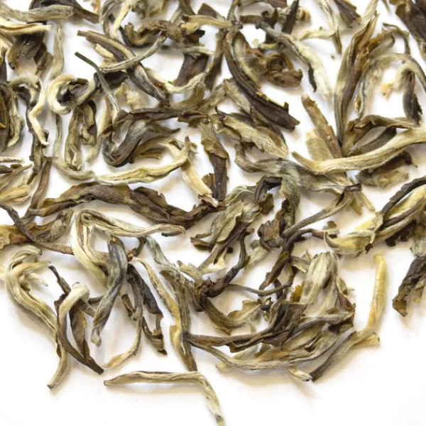TeaSource Green Tea<Jasmine Young Snow | Green Tea