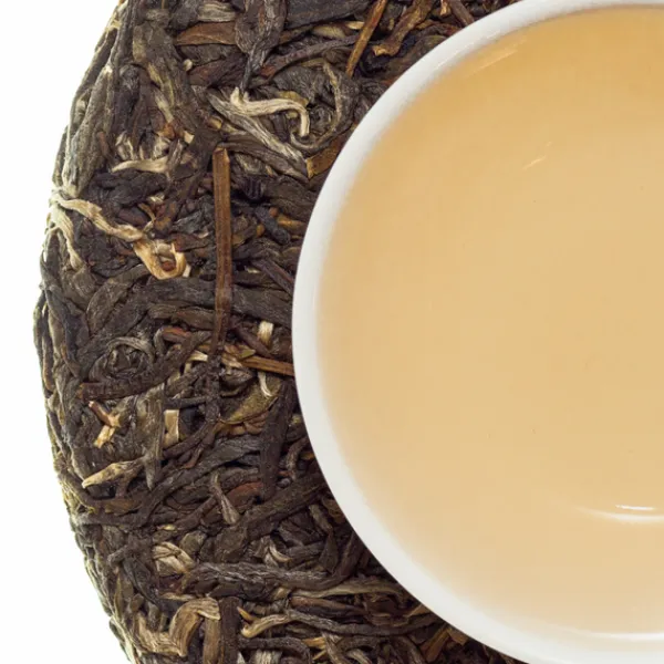 TeaSource Puer Tea<2019 Jing Mai Raw (Sheng) Puer Tea Cake