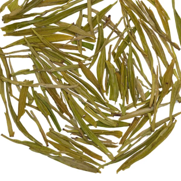 TeaSource Green Tea<Magnetic North | Green Tea