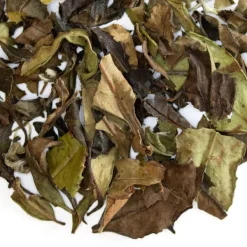 TeaSource White Tea<Mandolin | White Tea