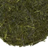 TeaSource Green Tea<Meadowland Sencha | Green Tea