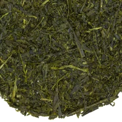 TeaSource Green Tea<Meadowland Sencha | Green Tea