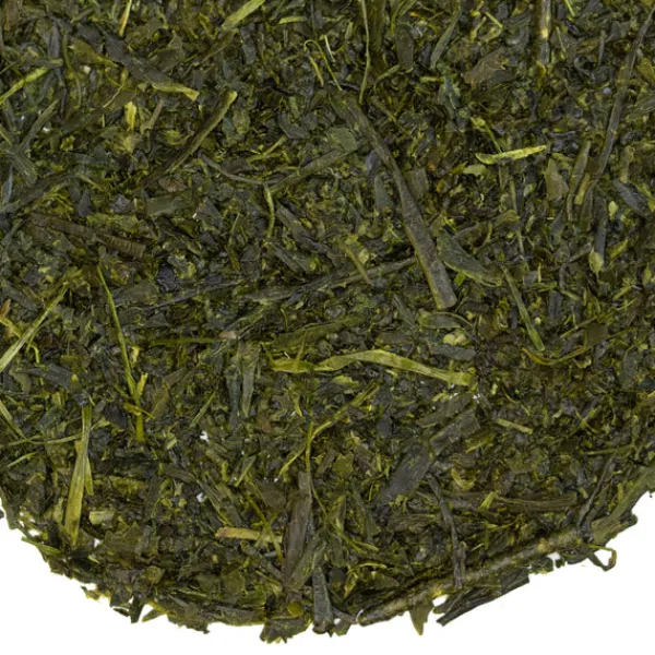 TeaSource Green Tea<Meadowland Sencha | Green Tea
