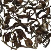 TeaSource Oolong Tea<Nocturnal | Oolong Tea