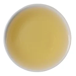 TeaSource Green Tea<Origami Hojicha | Green Tea