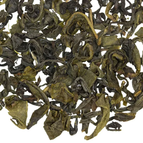 TeaSource Green Tea<Painter's Canvas Kamairicha | Green Tea