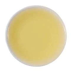 TeaSource Green Tea<Painter's Canvas Kamairicha | Green Tea