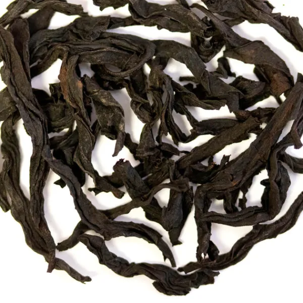 TeaSource Black Tea<Paper Lantern | Black Tea