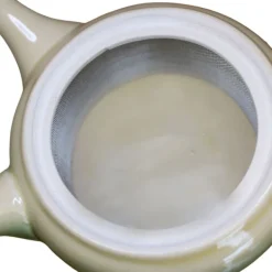 TeaSource Teapots<Pond Lily Teapot (Kyūsu)