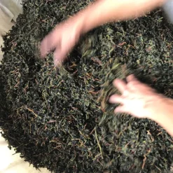 TeaSource Oolong Tea<Quiet Creek Tieguanyin | Oolong Tea