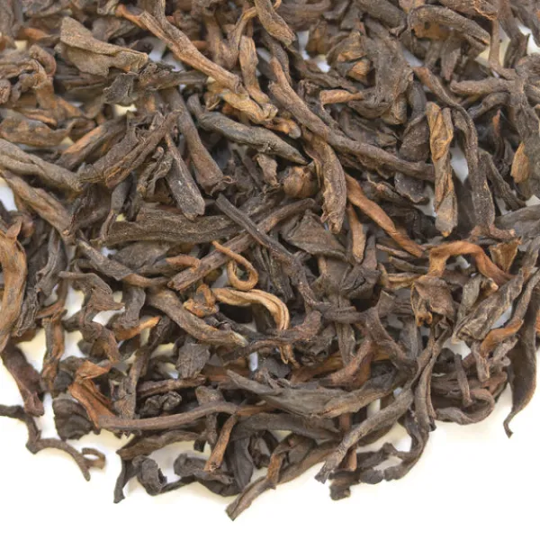 TeaSource Puer Tea<Ramblin' Ripe (Shu) Puer Tea